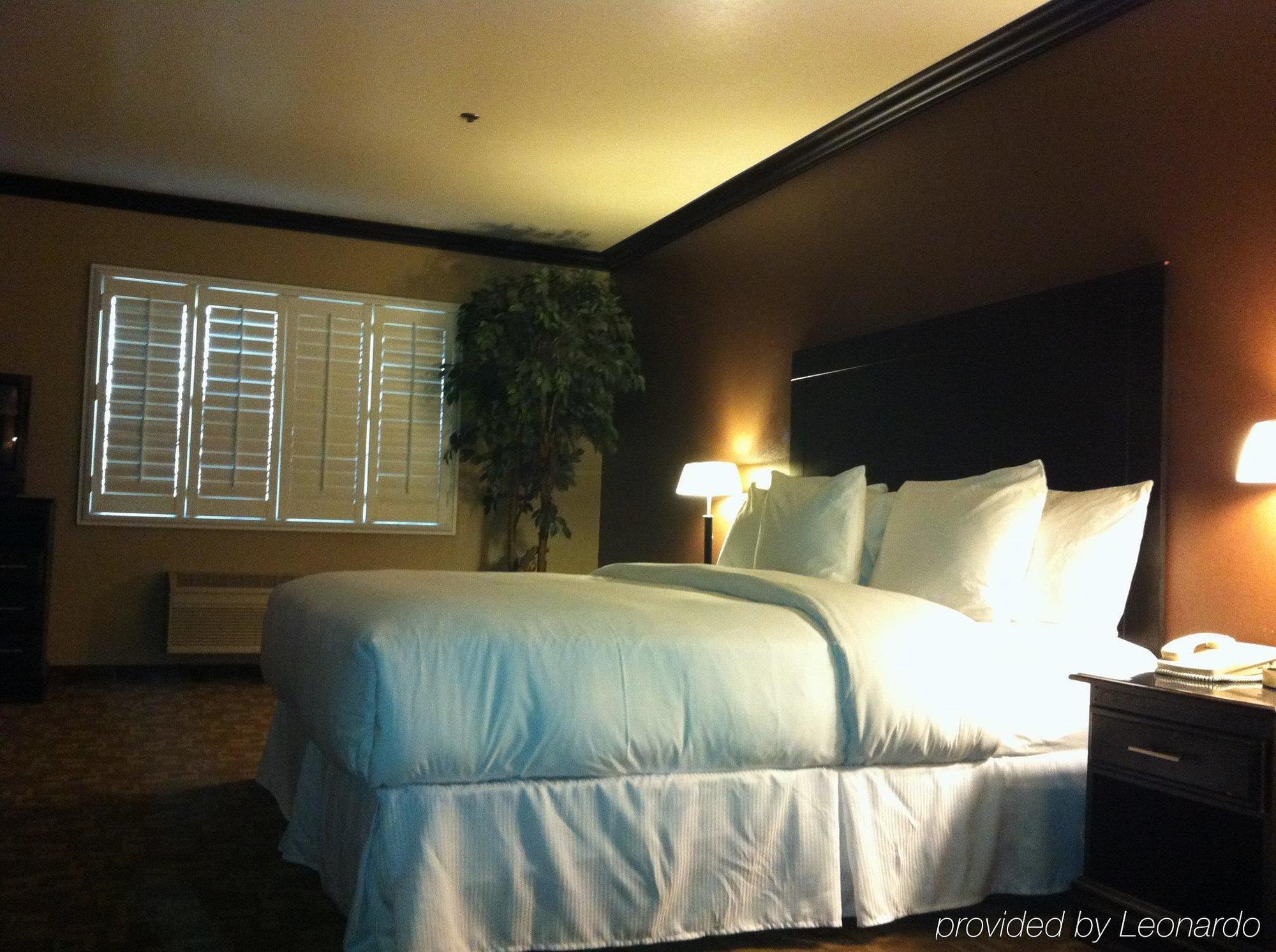 Blvd Hotel & Suites - Walking Distance To Hollywood Walk Of Fame (Adults Only) Los Angeles Room photo